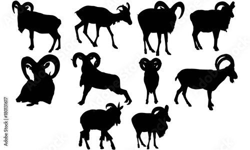 Urial Silhouette Vector Graphics