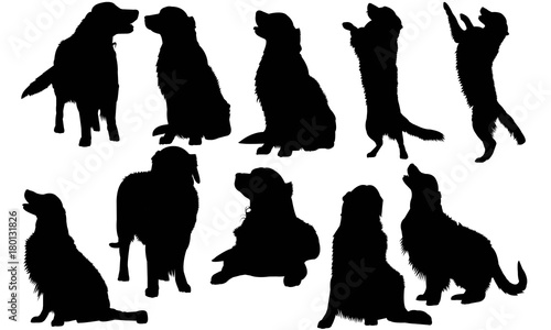 Golden Retriever Dog Silhouette Vector Graphics
