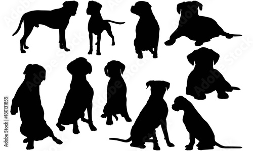 Boxer Dog Silhouette Vector Graphics