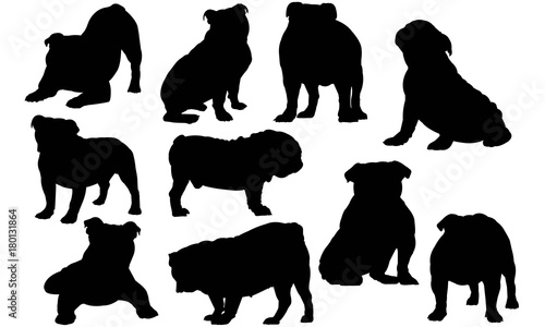 Bulldog Silhouette Vector Graphics