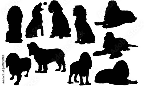 Canvas Print English Cocker Spaniel Dog Silhouette Vector Graphics
