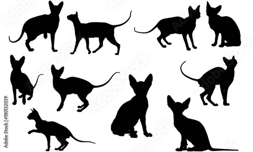 Sphynx Cat Silhouette Vector Graphics