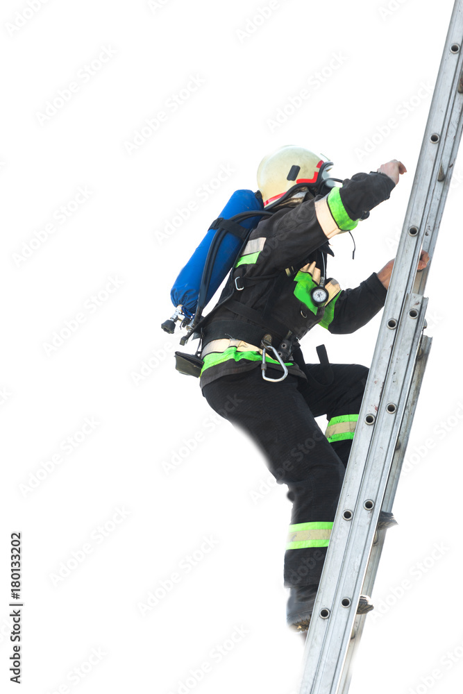 Fototapeta premium Firemen climb up the fire ladder up