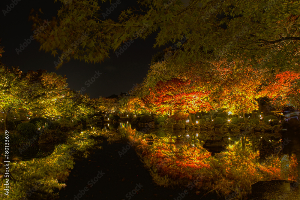東寺と池の水面に反射する夜空