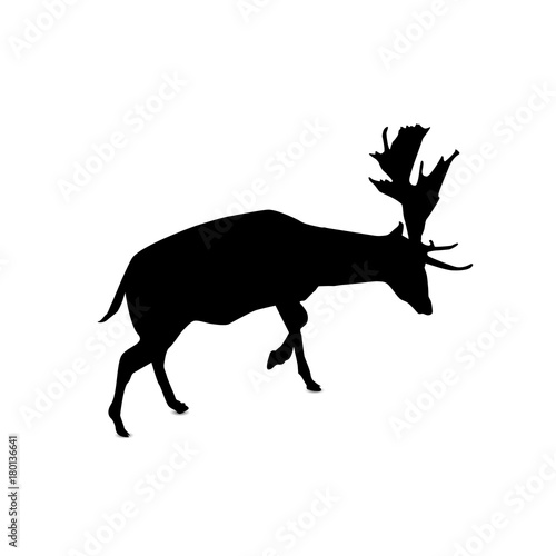 Silhouette of deer.