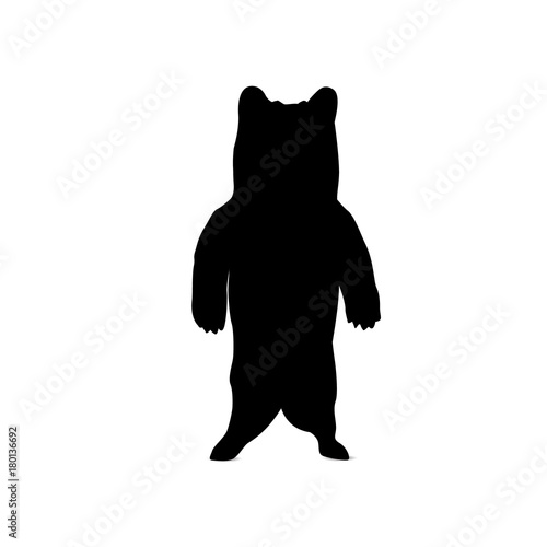 Silhouette of standing brown  bear.