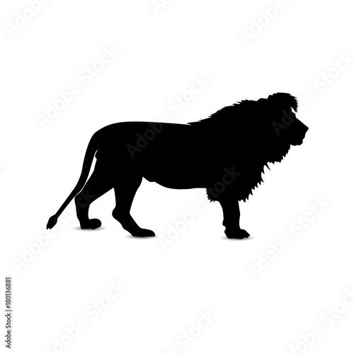 Silhouette of looking lion.