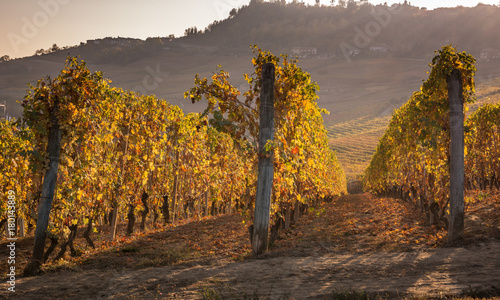 Le colline di La Morra