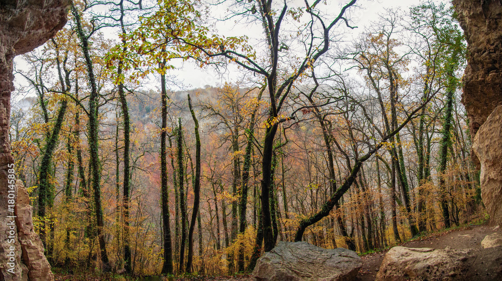 Autumn mood. All shades of rainy october. Valley of a stream of Rufabgo. View from a cave Skvoznaya. Nature and travel. Russia, Adygea, Caucasus Mountains
