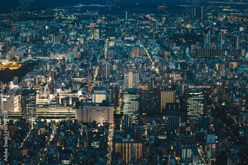Japan capital Tokyo City Skyline as seen from above at night