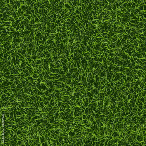 Green grass seamless pattern. Lawn nature background. Abstract field texture. Ecology symbol. Vector Illustration