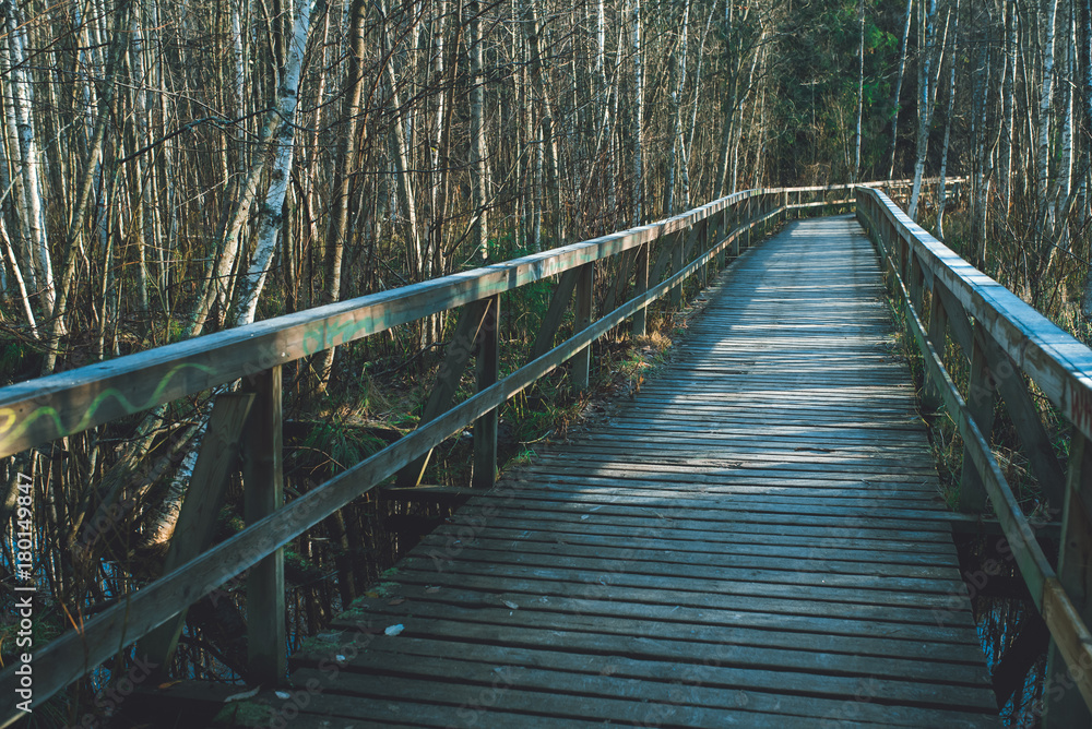 Naklejka premium bridge in birch wood