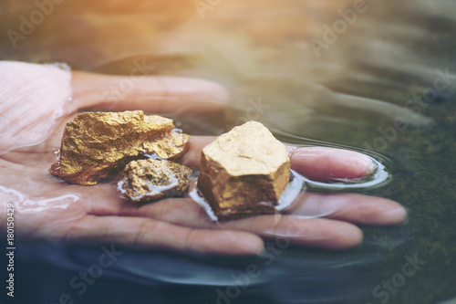 Foto Gold in its origin as gold nuggets in the mine is in the hands of men selective focus