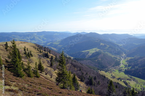 Blick vom Belchen über den Schwarzwald