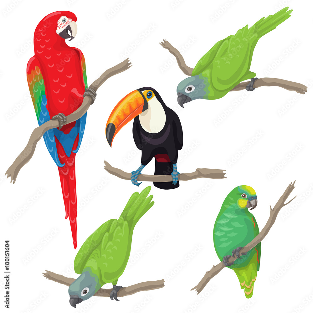 Obraz premium Tropical Birds Set