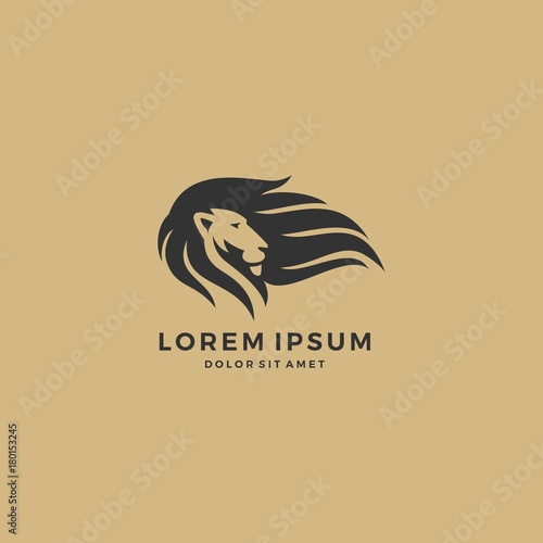 lion hair logo