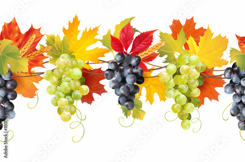 Seamless border with ripe grape, colored autumn leaves and wheat ears. Thanksgiving decoration. Vector illustration. 