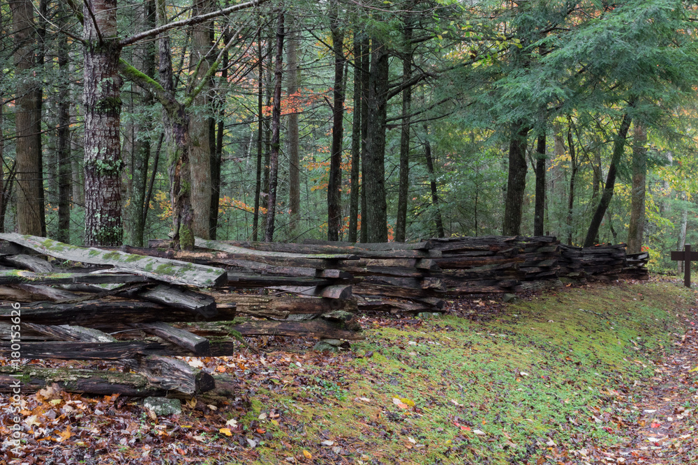Split rail fence view from side with forest behind on a wet fall day, horizontal aspect Split rail fence view from side with forest behind on a wet fall day, horizontal aspect