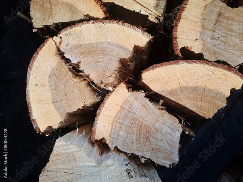cut wood oak
