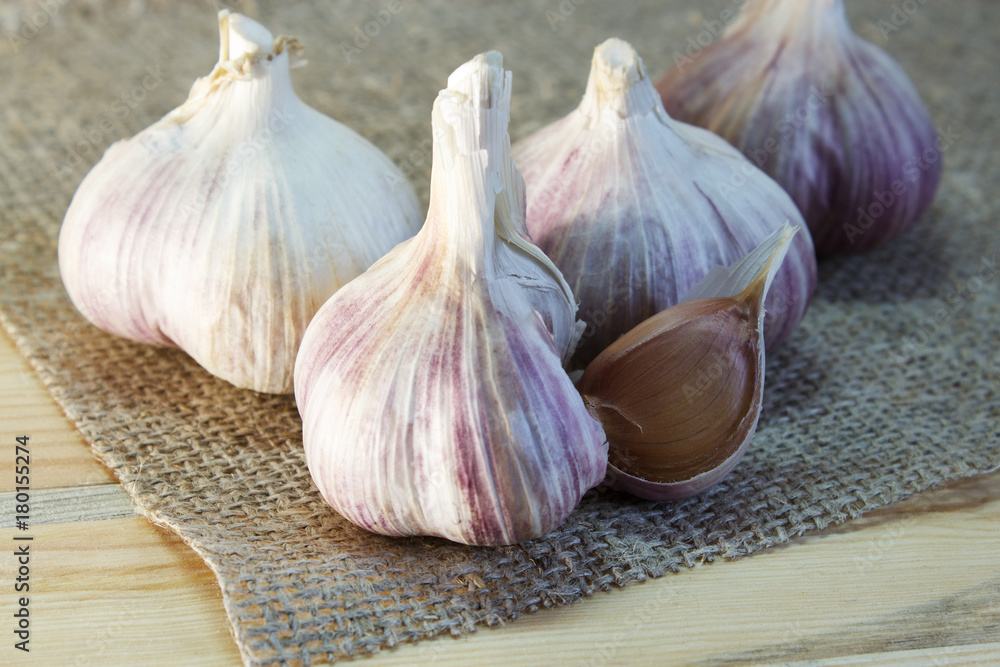 Obraz premium Garlic. Garlic Cloves and Garlic Bulb on vintage burlap. Organic garlic. Selective focus. Close-up.