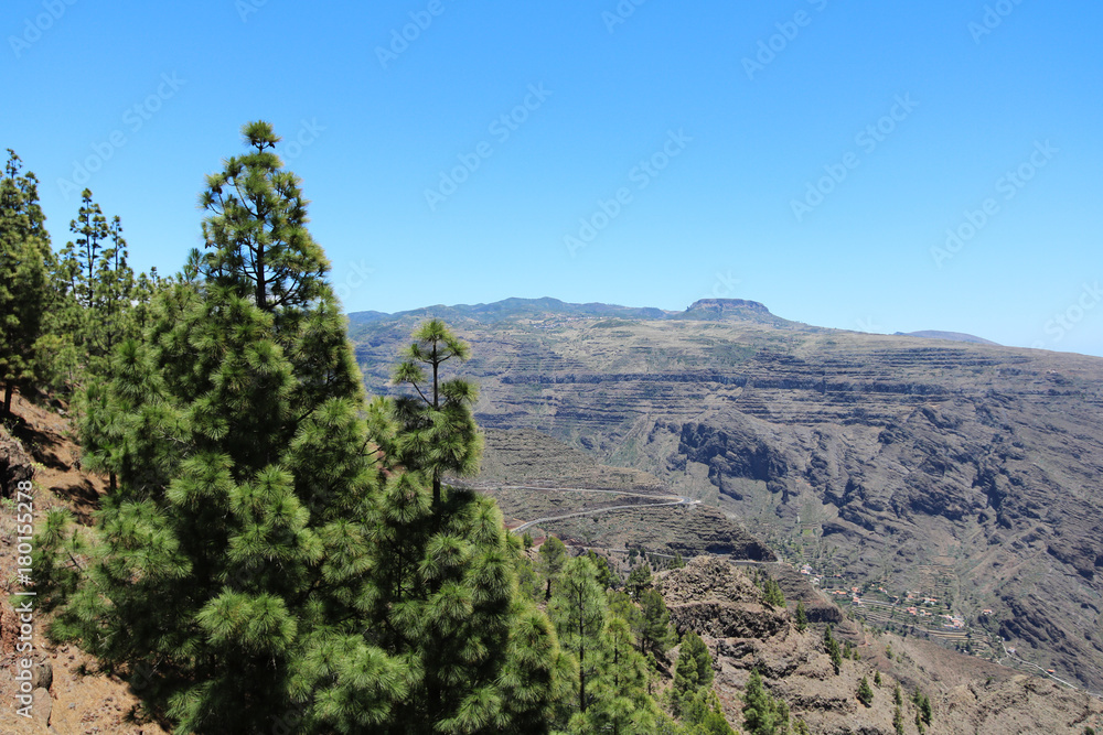 Naklejka premium La Gomera Kanaren wandern