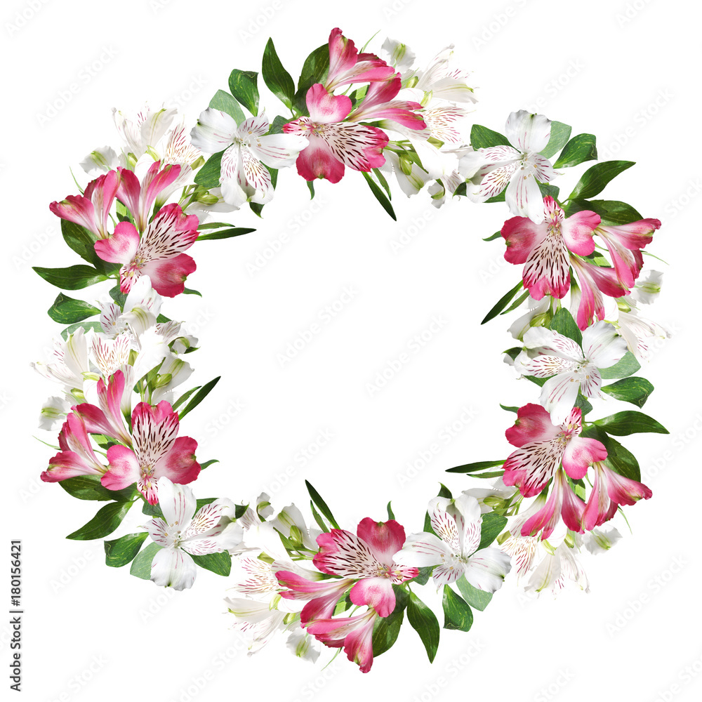 Circle of of pink and white alstroemerias  