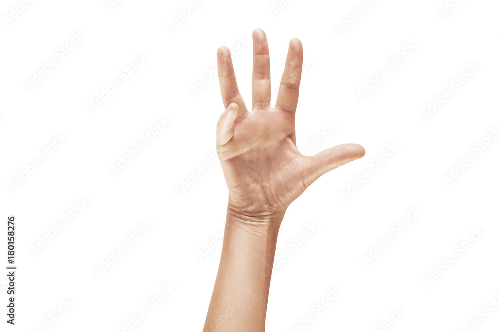 Close-up of beautiful woman's hand isolated on white background Close-up of beautiful woman's hand isolated on white background