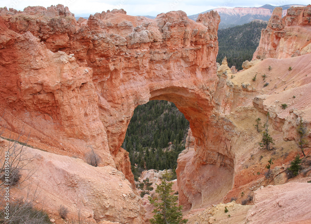 Natural Bridge arch of red sandstone located in Bryce Canyon,  Utah