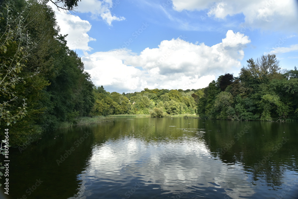 La beauté magique au grand étang de Lange Gracht en pleine forêt de Soignes à Auderghem