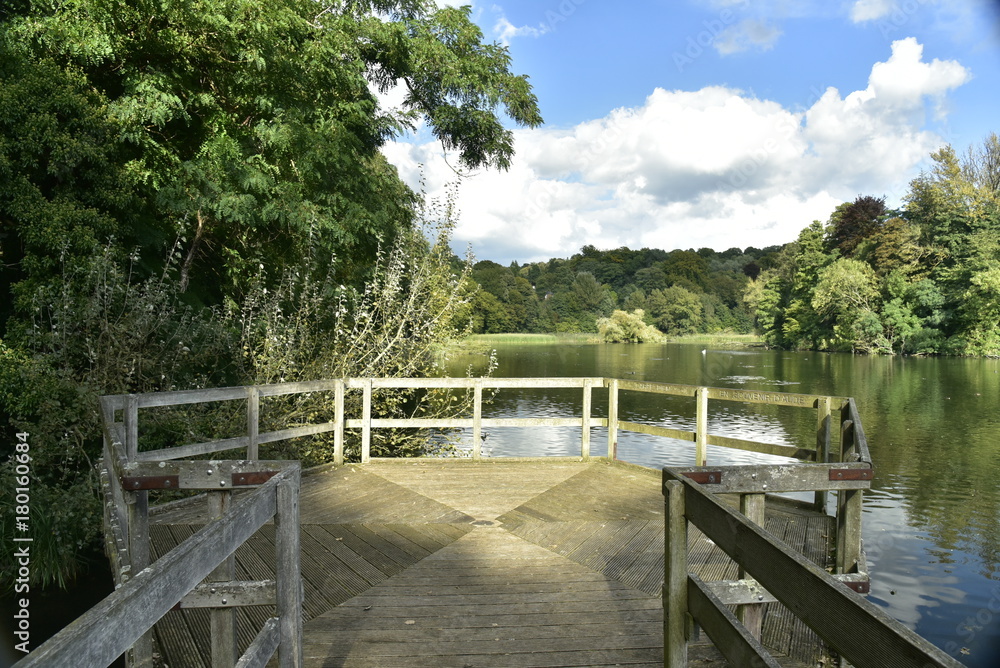 Le bout du ponton d'observation offrant une vue imprenable de l'étang de Lange Gracht en pleine forêt de Soignes à Auderghem Le bout du ponton d'observation offrant une vue imprenable de l'étang de Lange Gracht en pleine forêt de Soignes à Auderghem