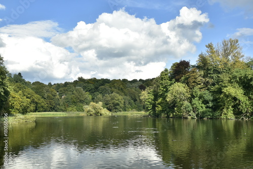 La nature typique et sauvage de la forêt de Soignes entourant le grand étang de Lange Gracht à Auderghem