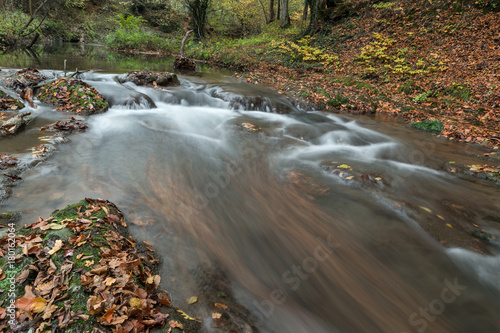 River in autumn in the forest