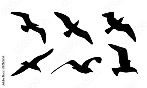 Seagulls Silhouettes. Vector Illustration of Seagulls Silhouettes.