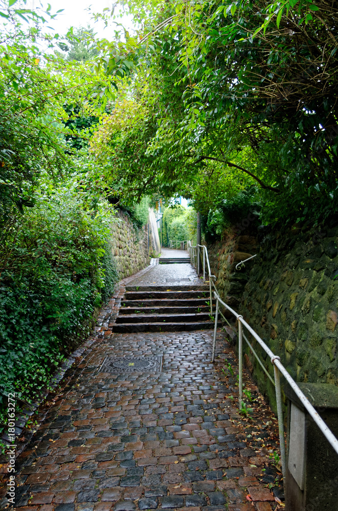 Stairs street in so called Treppenviertel (lit. stairs quarter) in Hamburg Blankenese, Germany Stairs street in so called Treppenviertel (lit. stairs quarter) in Hamburg Blankenese, Germany