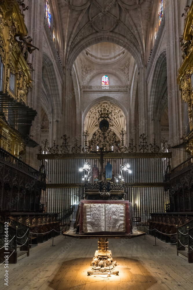 Obraz premium Choir in the Cathedral of Segovia. Spain.