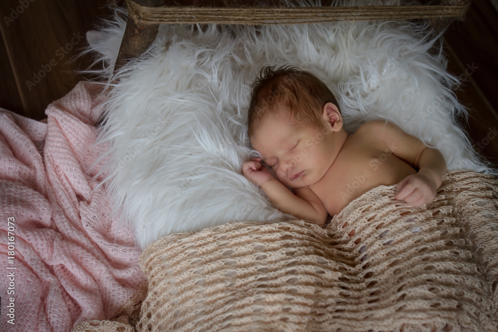 indoor portrait of adorable european newborn baby indoor portrait of adorable european newborn baby