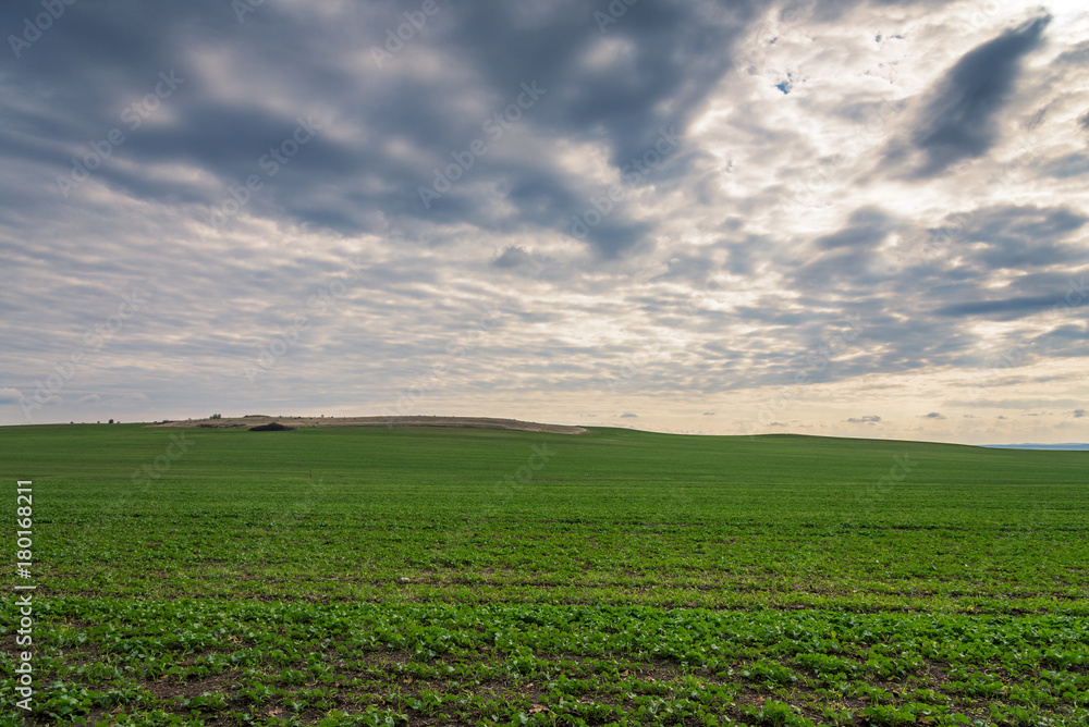 green field, panorama. green field, panorama.