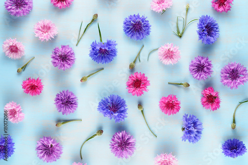 Floral background with cornflowers on blue © Anatoliy Sadovskiy