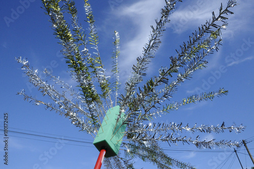 Bunga Manggar Is Always Used At Malaysian Malay Wedding As A Symbol Of Celebrating The People And Being Placed In Front Of The House Stock Photo Adobe Stock