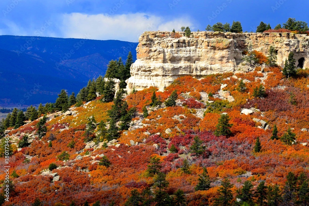 Fototapeta premium Rocky Mountain Autumn