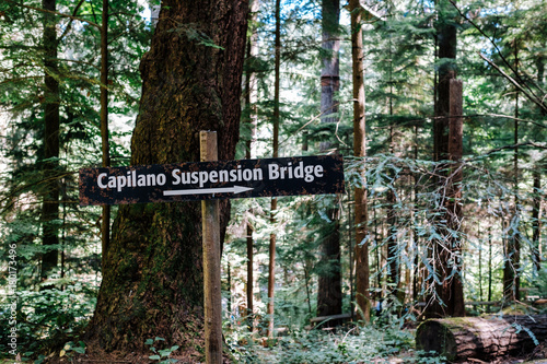 Capilano photo