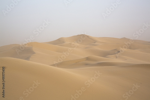 Desert beauties © Brian/NEYE