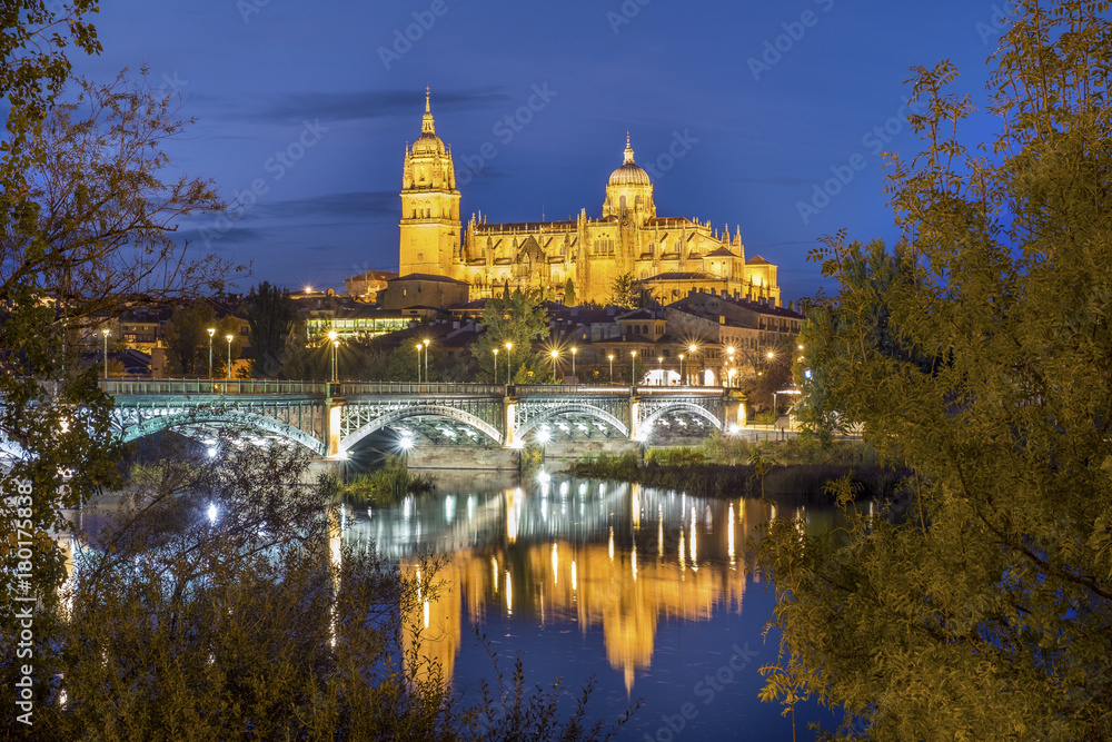 Cathedral of Salamanca and bridge over Tormes river, Spain