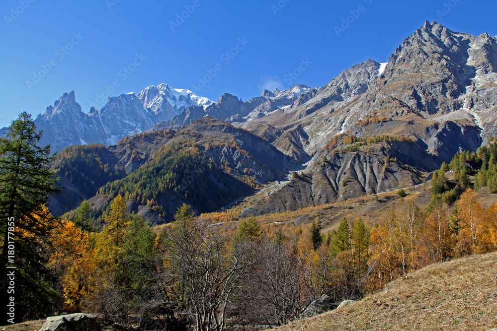 Monte Bianco, Aiguille Blanche de Peuterrey e Aiguille Noire de Peuterey dalla Val Ferret Monte Bianco, Aiguille Blanche de Peuterrey e Aiguille Noire de Peuterey dalla Val Ferret