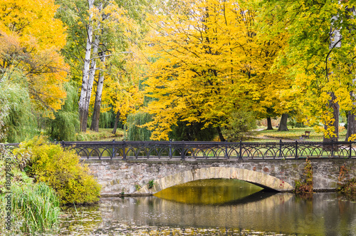 Autumn in the park of Alexandria, view of the old arched bridge and pond