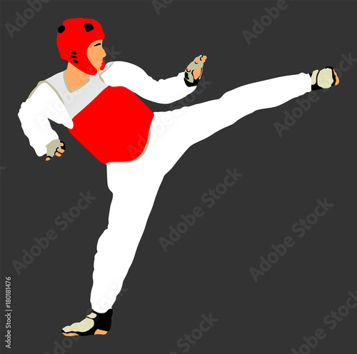 Taekwondo fighter vector illustration isolated. Sparring on training action. Self defense, defence art exercising concept. Warrior in the martial arts battle. Combat competition.