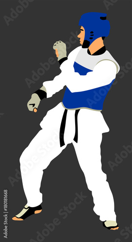 Taekwondo fighter vector illustration isolated. Sparring on training action. Self defense, defence art exercising concept. Warrior in the martial arts battle. Combat competition.