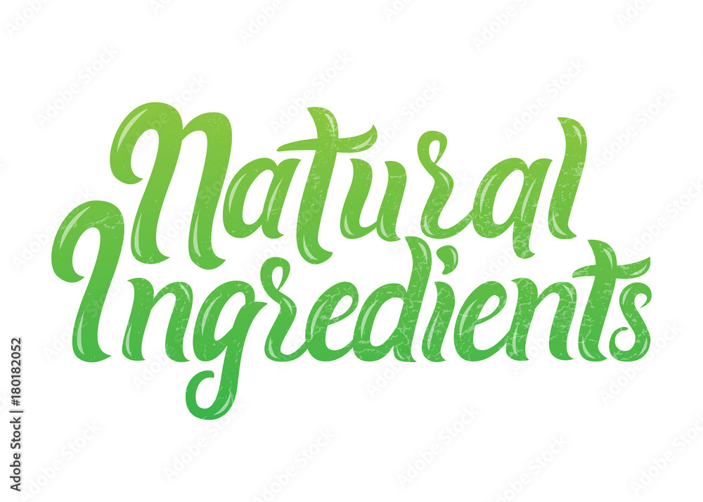 Fototapeta premium Vector illustration of Narural Organic Ingredients