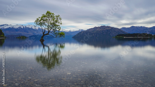 Obraz na plátně The lone tree of lake Wanaka, Newzealand