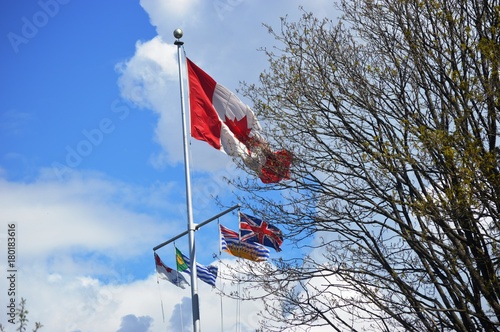 Canadian Flag at Stanley Park